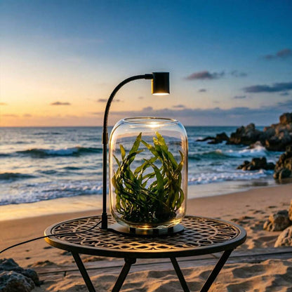 Gooseneck Desk Grow Light